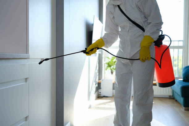 Best Mold Cleaning Services  in Coats, NC